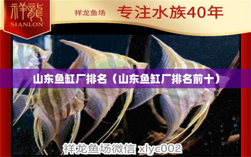 山東魚缸廠排名（山東魚缸廠排名前十） 其他品牌魚缸