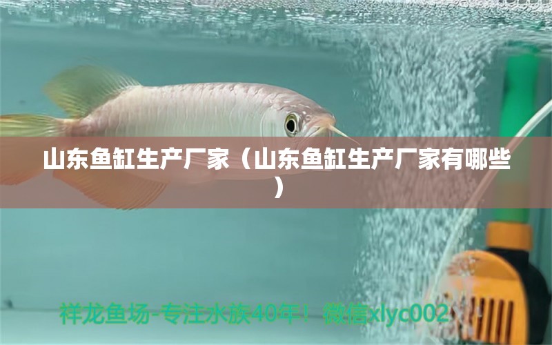 山東魚(yú)缸生產(chǎn)廠(chǎng)家（山東魚(yú)缸生產(chǎn)廠(chǎng)家有哪些） 其他品牌魚(yú)缸