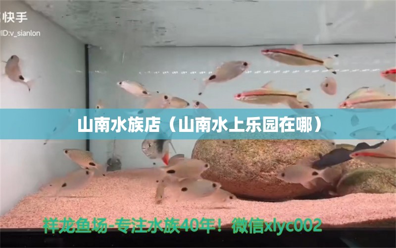 山南水族店（山南水上樂園在哪） 觀賞魚市場