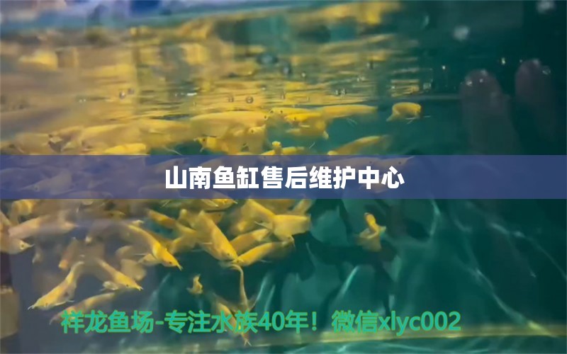 山南魚缸售后維護中心