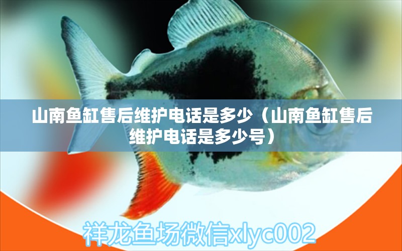 山南魚(yú)缸售后維護(hù)電話是多少（山南魚(yú)缸售后維護(hù)電話是多少號(hào)） 其他品牌魚(yú)缸