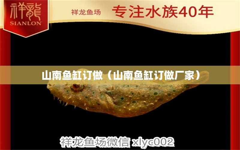 山南魚缸訂做（山南魚缸訂做廠家）