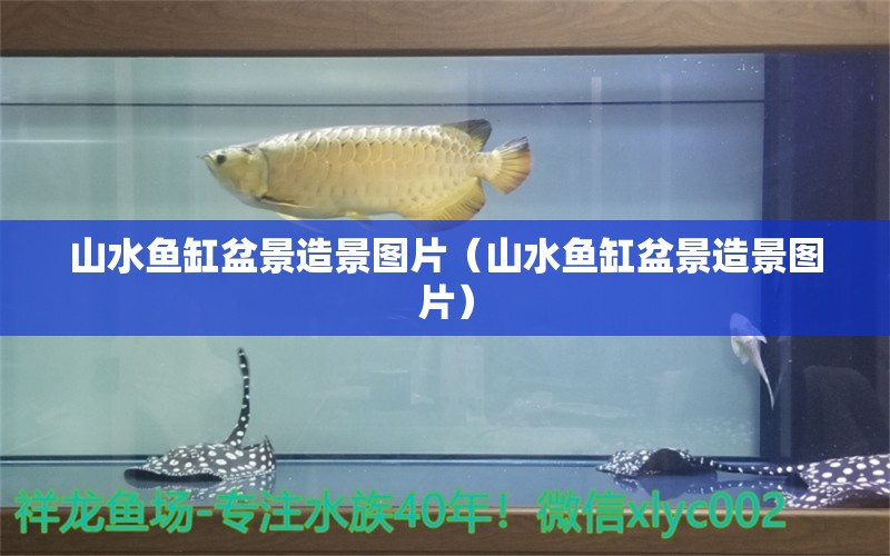 山水魚缸盆景造景圖片（山水魚缸盆景造景圖片）