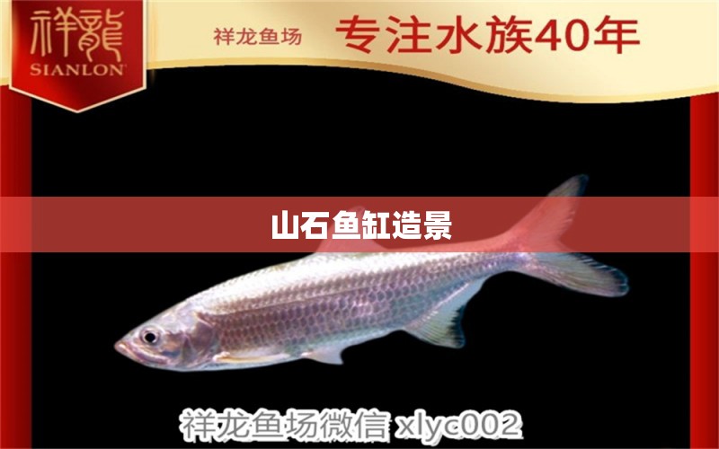 山石魚(yú)缸造景 祥龍魚(yú)場(chǎng)