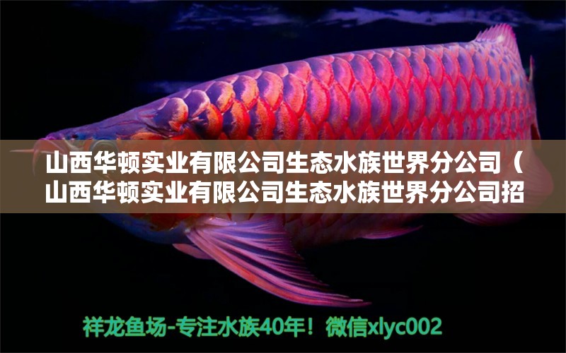 山西華頓實(shí)業(yè)有限公司生態(tài)水族世界分公司（山西華頓實(shí)業(yè)有限公司生態(tài)水族世界分公司招聘） 全國水族館企業(yè)名錄