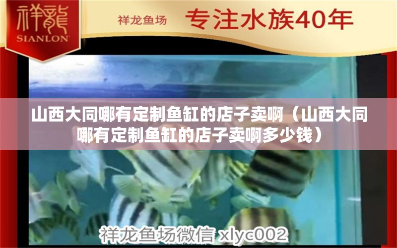 山西大同哪有定制魚缸的店子賣?。ㄉ轿鞔笸挠卸ㄖ启~缸的店子賣啊多少錢）