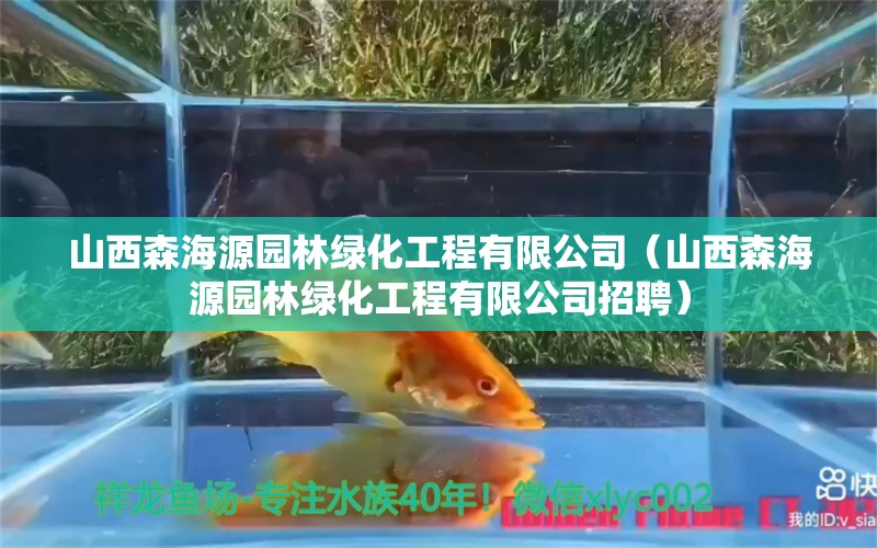 山西森海源園林綠化工程有限公司（山西森海源園林綠化工程有限公司招聘）