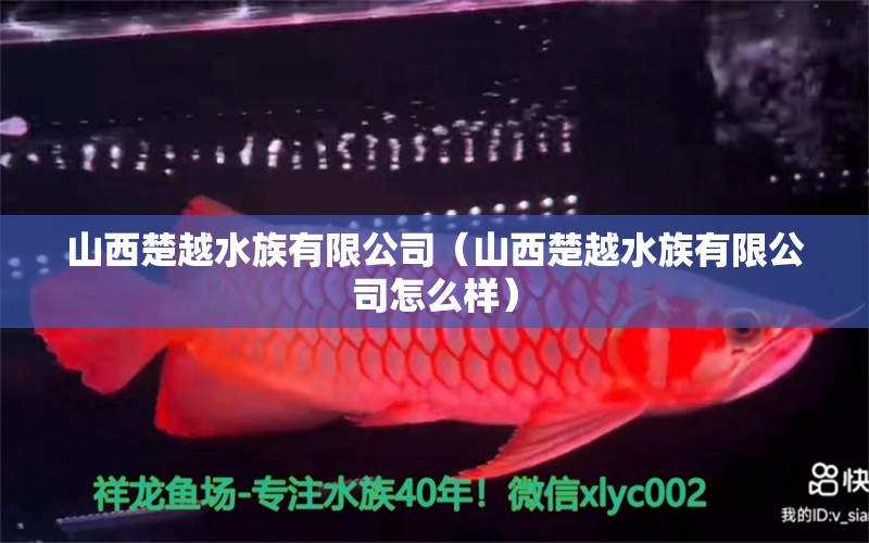 山西楚越水族有限公司（山西楚越水族有限公司怎么樣）