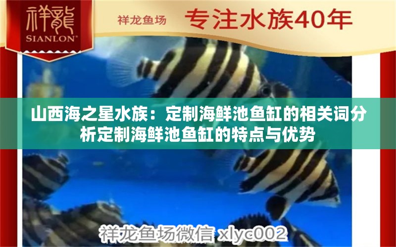 山西海之星水族：定制海鮮池魚缸的相關(guān)詞分析定制海鮮池魚缸的特點與優(yōu)勢