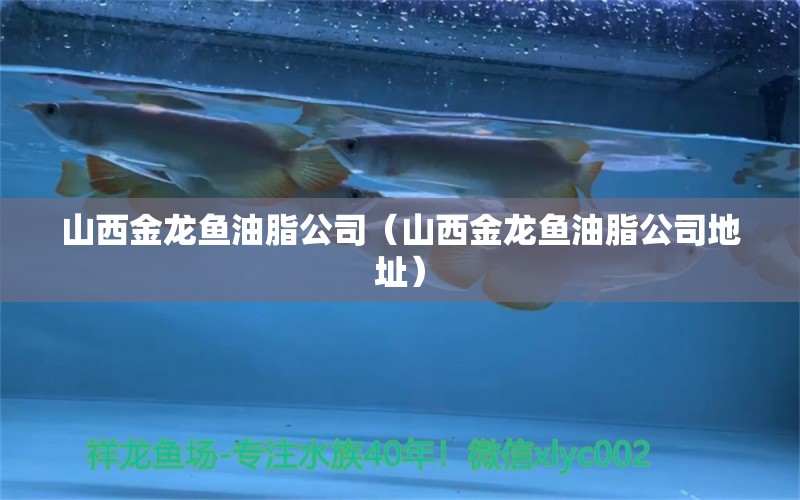 山西金龍魚油脂公司（山西金龍魚油脂公司地址）