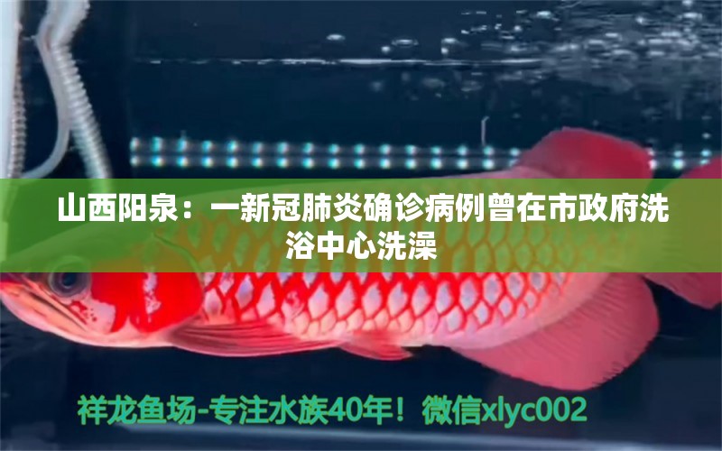 山西陽泉：一新冠肺炎確診病例曾在市政府洗浴中心洗澡 龍魚疾病與治療