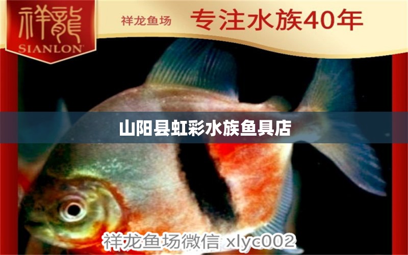 山陽縣虹彩水族魚具店