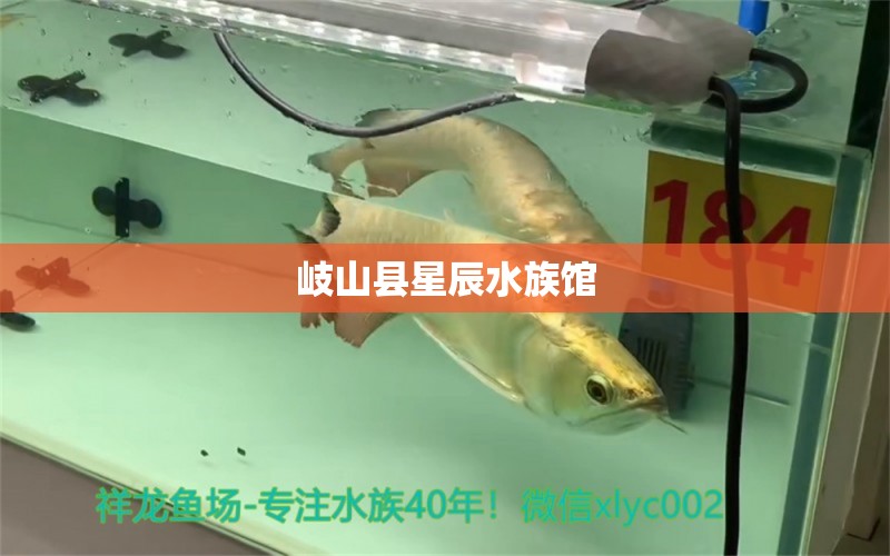 岐山縣星辰水族館 全國水族館企業(yè)名錄