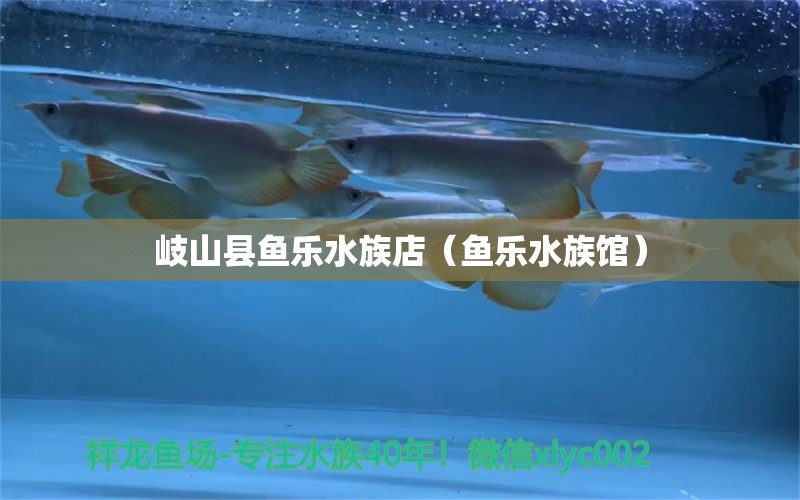 岐山縣魚樂水族店（魚樂水族館）