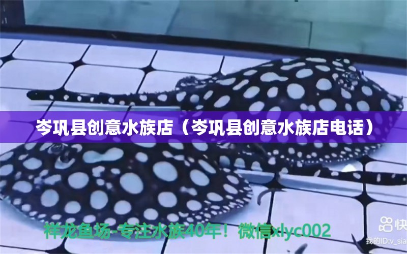 岑鞏縣創(chuàng)意水族店（岑鞏縣創(chuàng)意水族店電話） 全國水族館企業(yè)名錄