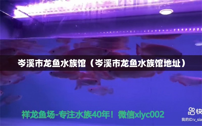 岑溪市龍魚水族館（岑溪市龍魚水族館地址）