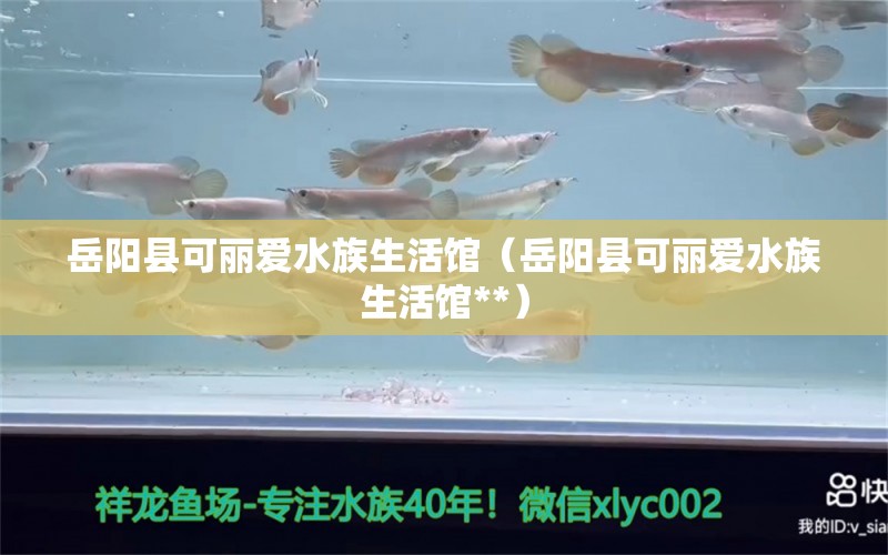 岳陽縣可麗愛水族生活館（岳陽縣可麗愛水族生活館**）