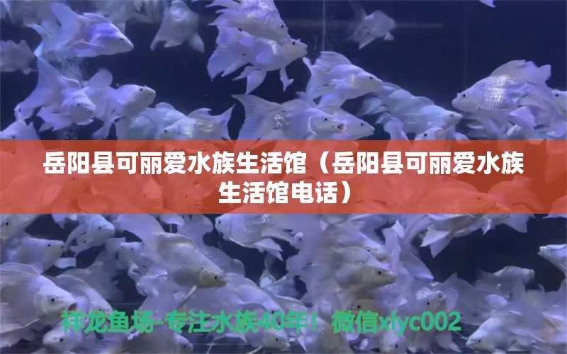 岳陽(yáng)縣可麗愛(ài)水族生活館（岳陽(yáng)縣可麗愛(ài)水族生活館電話）