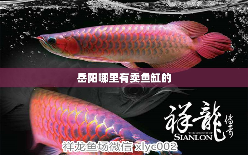 岳陽哪里有賣魚缸的 其他品牌魚缸