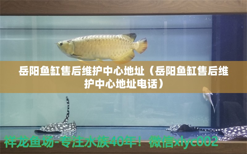 岳陽魚缸售后維護中心地址（岳陽魚缸售后維護中心地址電話）