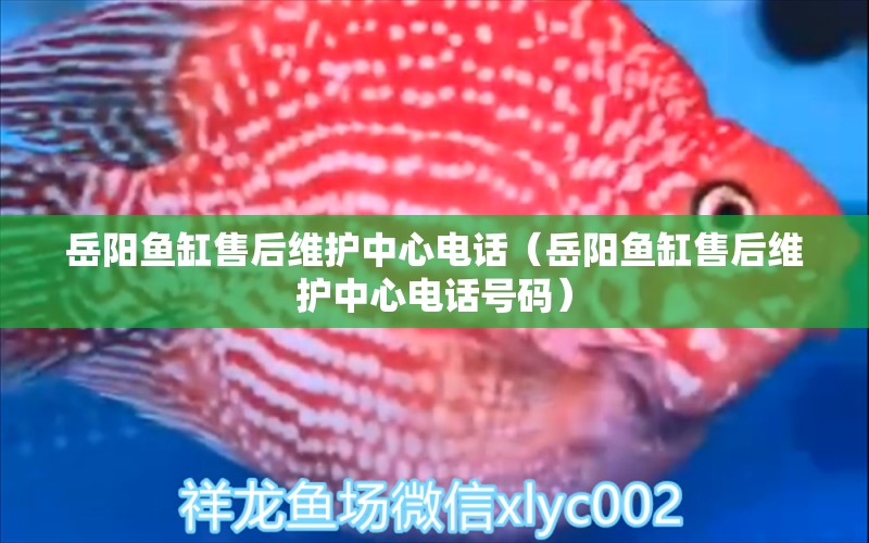 岳陽魚缸售后維護中心電話（岳陽魚缸售后維護中心電話號碼）