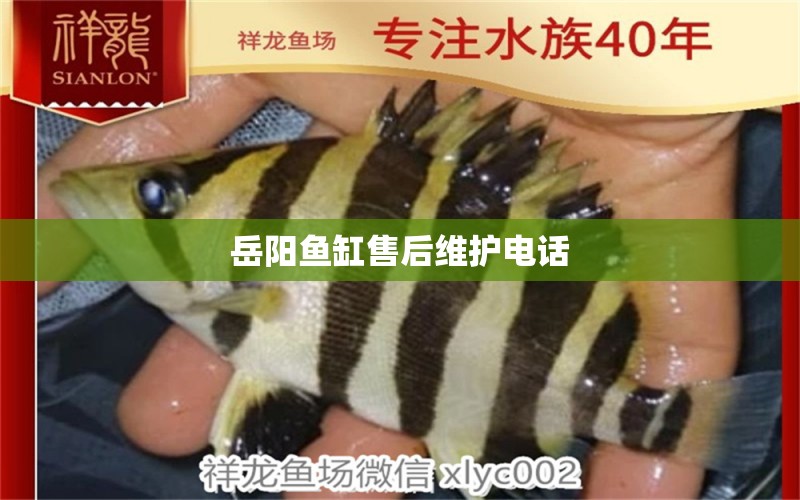 岳陽魚缸售后維護電話 其他品牌魚缸