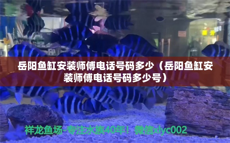 岳陽魚缸安裝師傅電話號碼多少（岳陽魚缸安裝師傅電話號碼多少號）