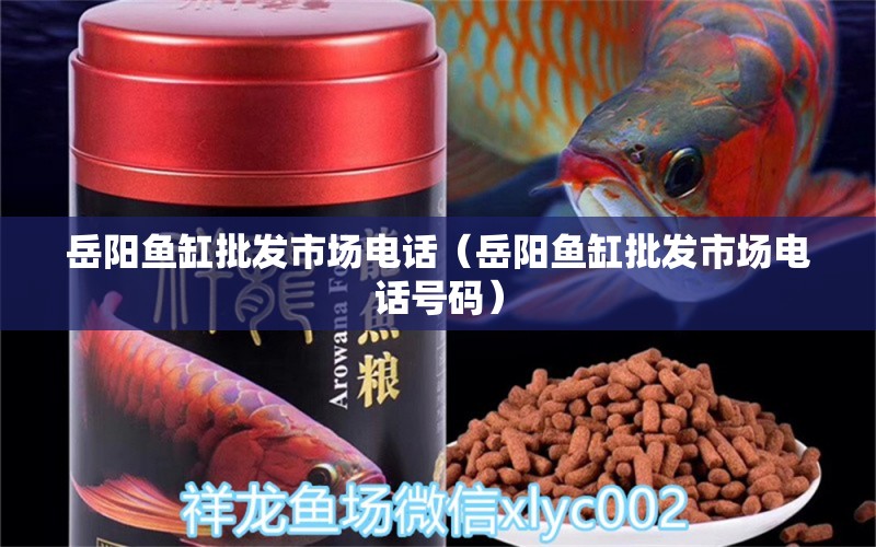 岳陽魚缸批發(fā)市場電話（岳陽魚缸批發(fā)市場電話號碼）