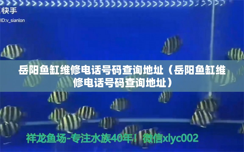 岳陽魚缸維修電話號碼查詢地址（岳陽魚缸維修電話號碼查詢地址）