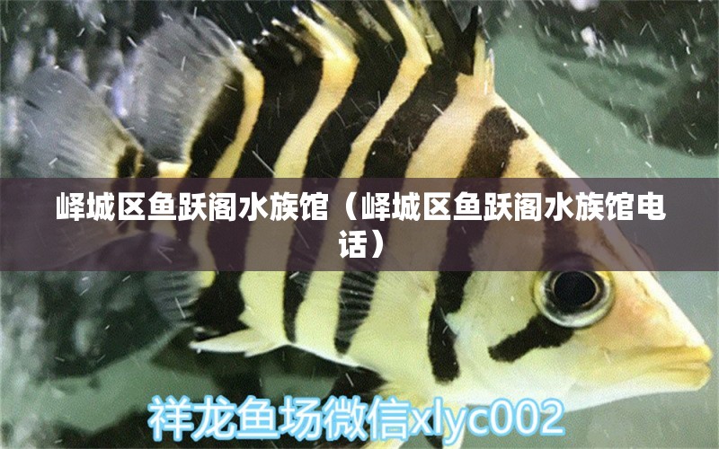 嶧城區(qū)魚躍閣水族館（嶧城區(qū)魚躍閣水族館電話） 全國水族館企業(yè)名錄