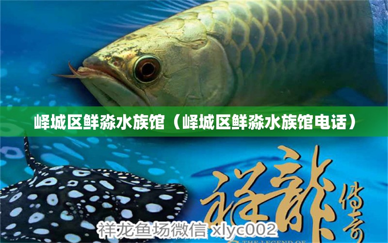 嶧城區(qū)鮮淼水族館（嶧城區(qū)鮮淼水族館電話） 全國水族館企業(yè)名錄