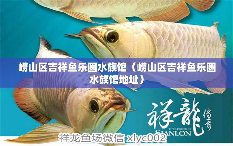 嶗山區(qū)吉祥魚樂圈水族館（嶗山區(qū)吉祥魚樂圈水族館地址）