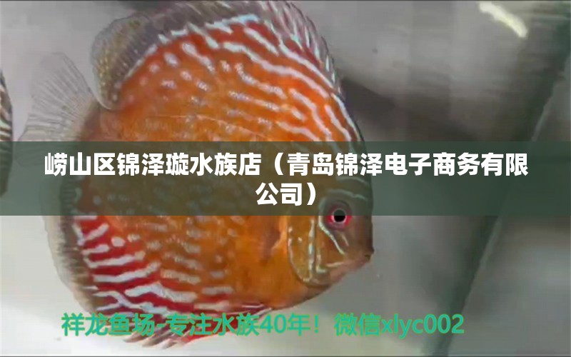 嶗山區(qū)錦澤璇水族店（青島錦澤電子商務(wù)有限公司） 全國(guó)水族館企業(yè)名錄