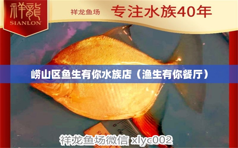 嶗山區(qū)魚生有你水族店（漁生有你餐廳） 全國水族館企業(yè)名錄