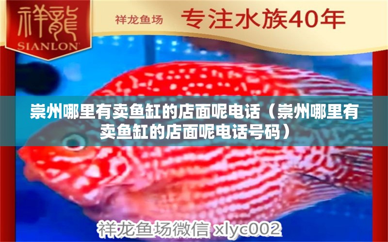 崇州哪里有賣魚缸的店面呢電話（崇州哪里有賣魚缸的店面呢電話號(hào)碼） 觀賞魚市場(chǎng)（混養(yǎng)魚）