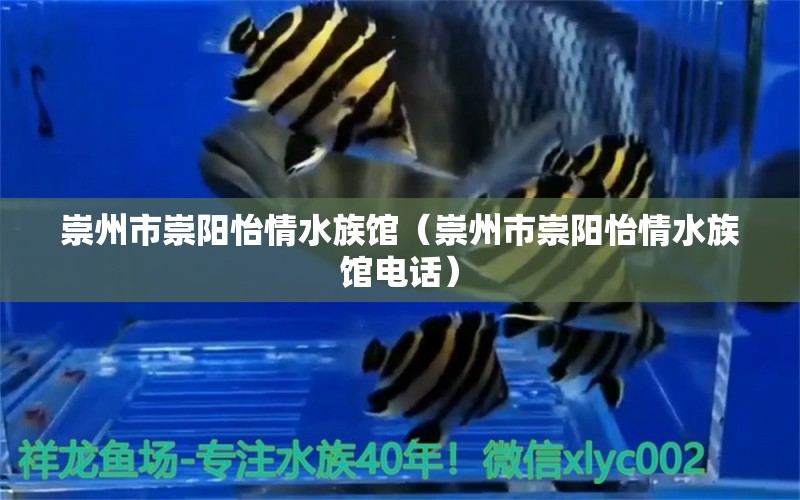 崇州市崇陽(yáng)怡情水族館（崇州市崇陽(yáng)怡情水族館電話） 全國(guó)水族館企業(yè)名錄