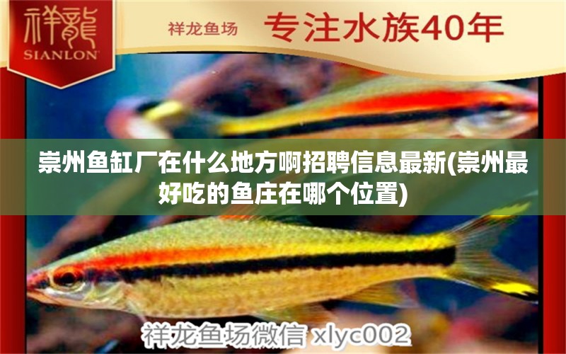 崇州魚缸廠在什么地方啊招聘信息最新(崇州最好吃的魚莊在哪個位置) 黑白雙星魚