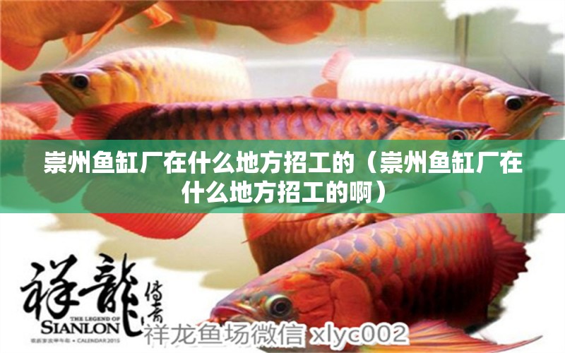 崇州魚缸廠在什么地方招工的（崇州魚缸廠在什么地方招工的?。?潛水泵