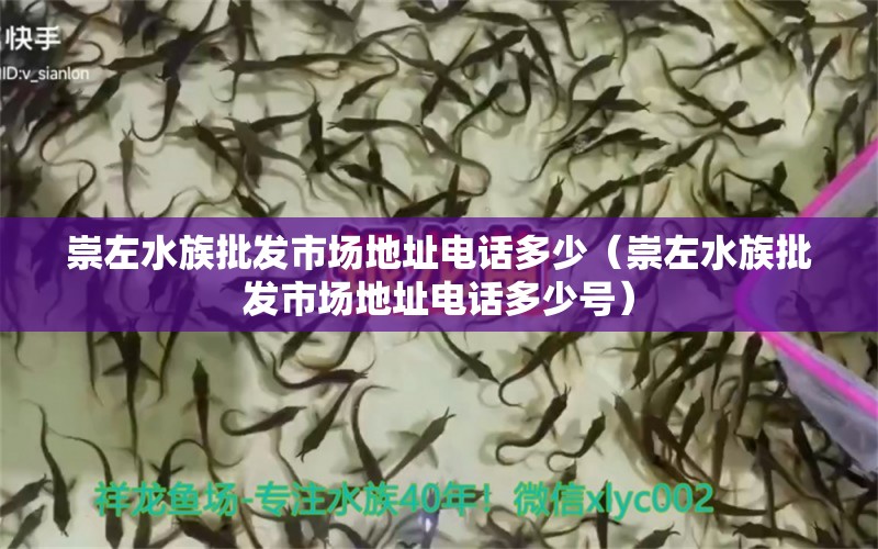 崇左水族批發(fā)市場(chǎng)地址電話多少（崇左水族批發(fā)市場(chǎng)地址電話多少號(hào)）