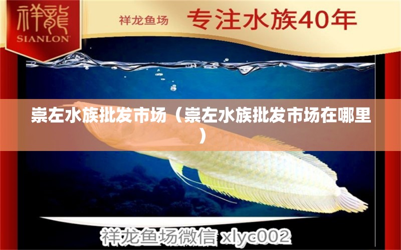 崇左水族批發(fā)市場（崇左水族批發(fā)市場在哪里） 觀賞魚水族批發(fā)市場