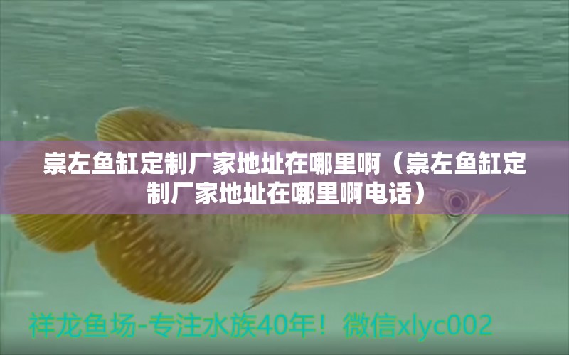 崇左魚缸定制廠家地址在哪里?。ǔ缱篝~缸定制廠家地址在哪里啊電話）