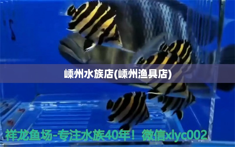 嵊州水族店(嵊州漁具店) 黃金斑馬魚 第1張