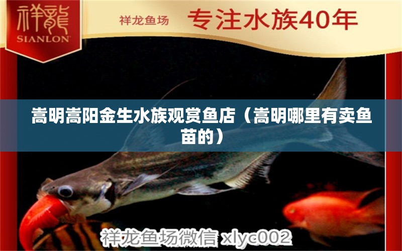 嵩明嵩陽(yáng)金生水族觀賞魚(yú)店（嵩明哪里有賣魚(yú)苗的） 全國(guó)水族館企業(yè)名錄