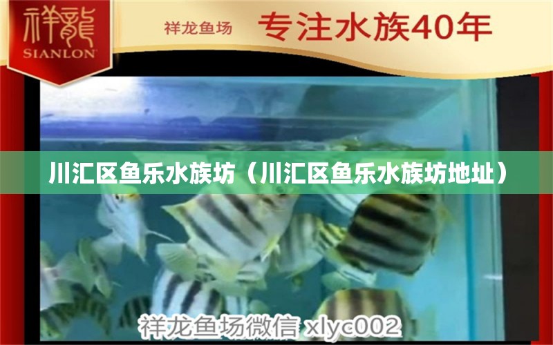 川匯區(qū)魚樂水族坊（川匯區(qū)魚樂水族坊地址） 全國水族館企業(yè)名錄