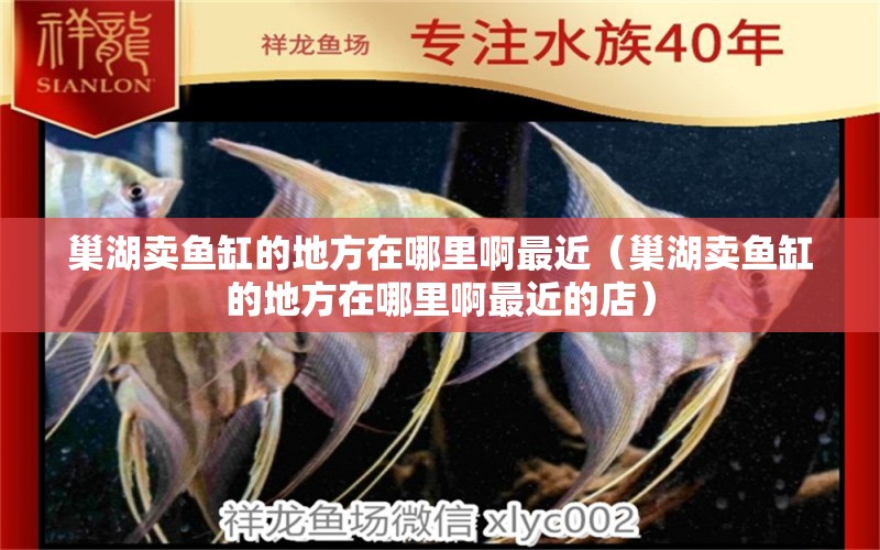 巢湖賣魚(yú)缸的地方在哪里啊最近（巢湖賣魚(yú)缸的地方在哪里啊最近的店）