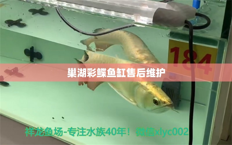 巢湖彩鰈魚缸售后維護 彩鰈魚缸（彩蝶魚缸）