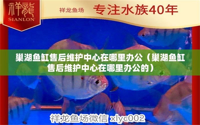 巢湖魚缸售后維護中心在哪里辦公（巢湖魚缸售后維護中心在哪里辦公的）