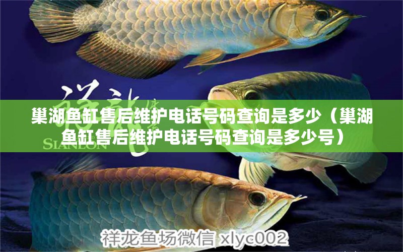 巢湖魚(yú)缸售后維護(hù)電話號(hào)碼查詢是多少（巢湖魚(yú)缸售后維護(hù)電話號(hào)碼查詢是多少號(hào)）