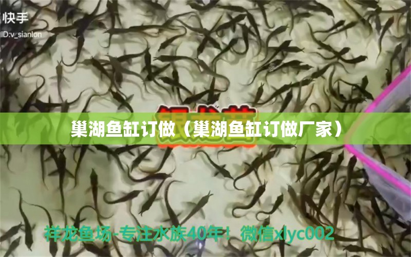 巢湖魚缸訂做（巢湖魚缸訂做廠家） 廣州龍魚批發(fā)市場(chǎng)