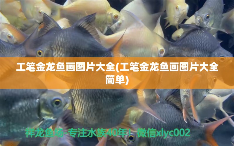 工筆金龍魚畫圖片大全(工筆金龍魚畫圖片大全簡(jiǎn)單) 埃及神仙魚